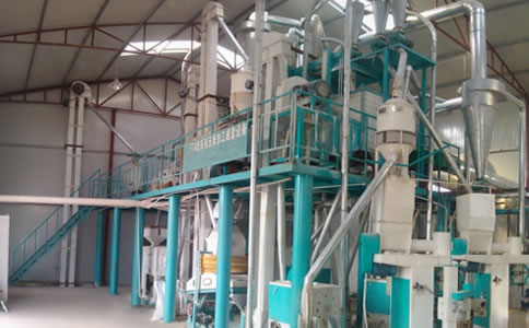 玉米碴加工設(shè)備